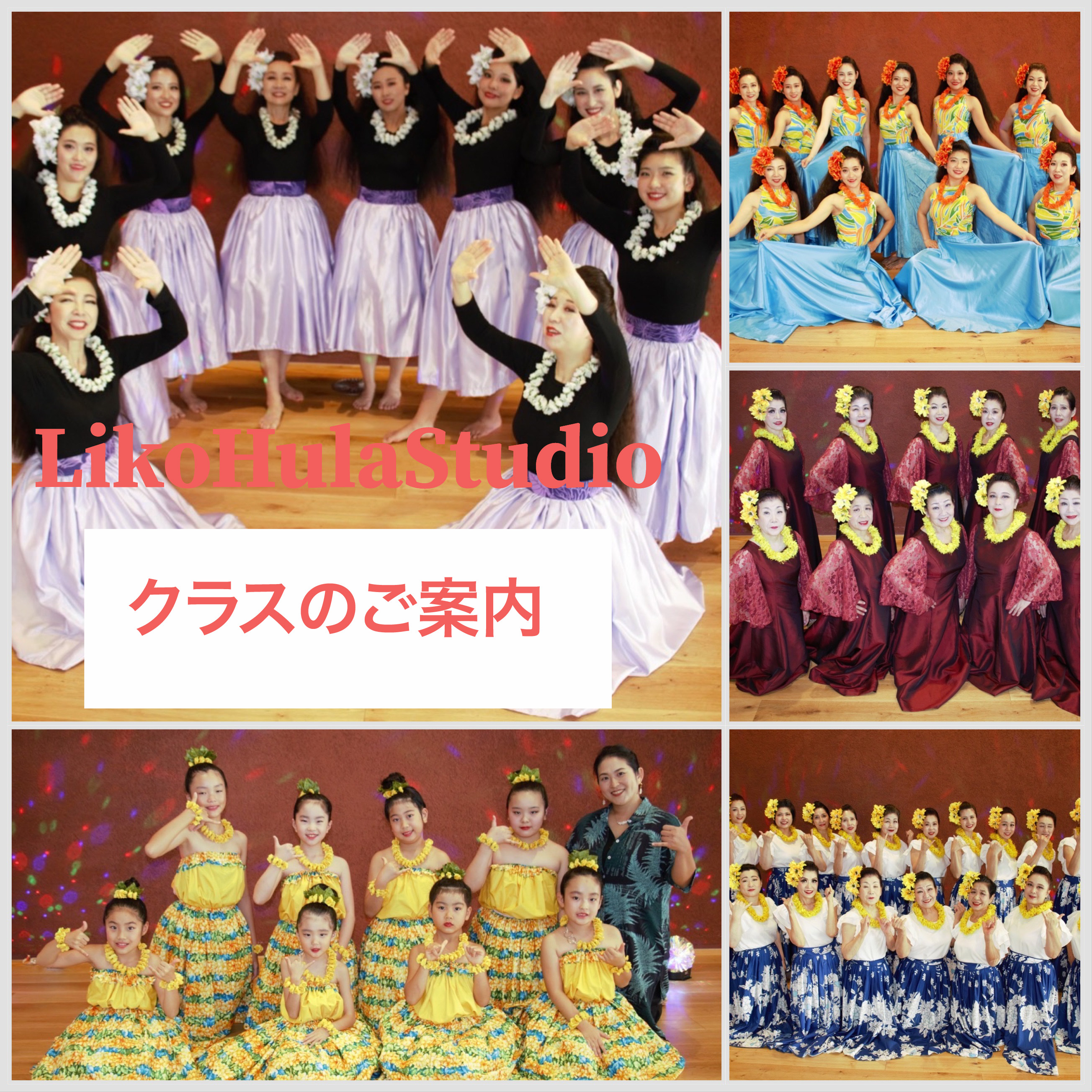画像の説明